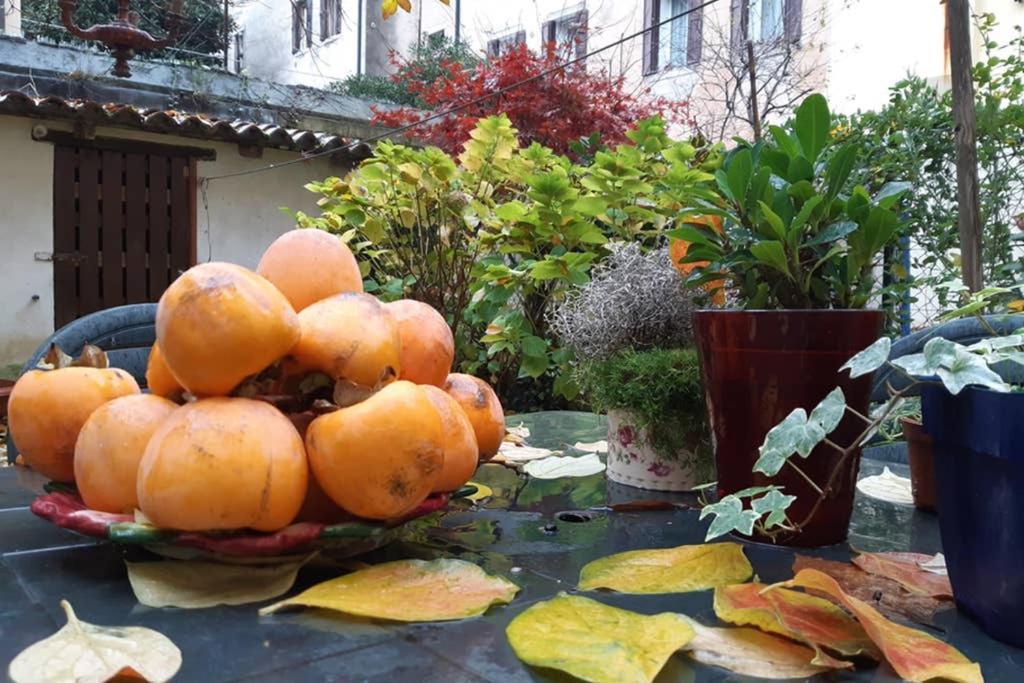 Casa Pusterla Venise